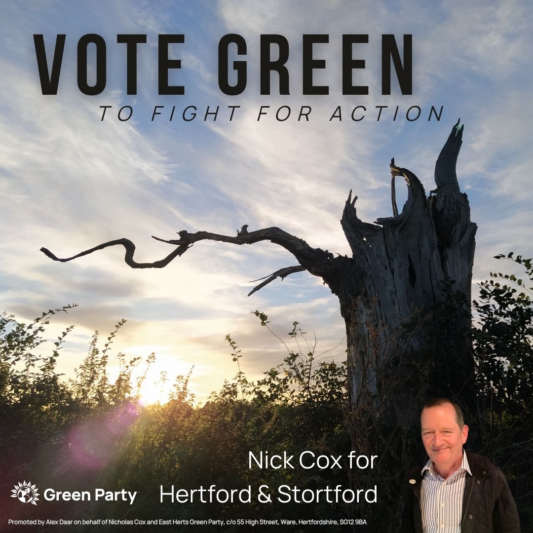 VOTE GREEN to Fight for Action